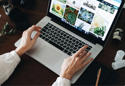 web devlopment